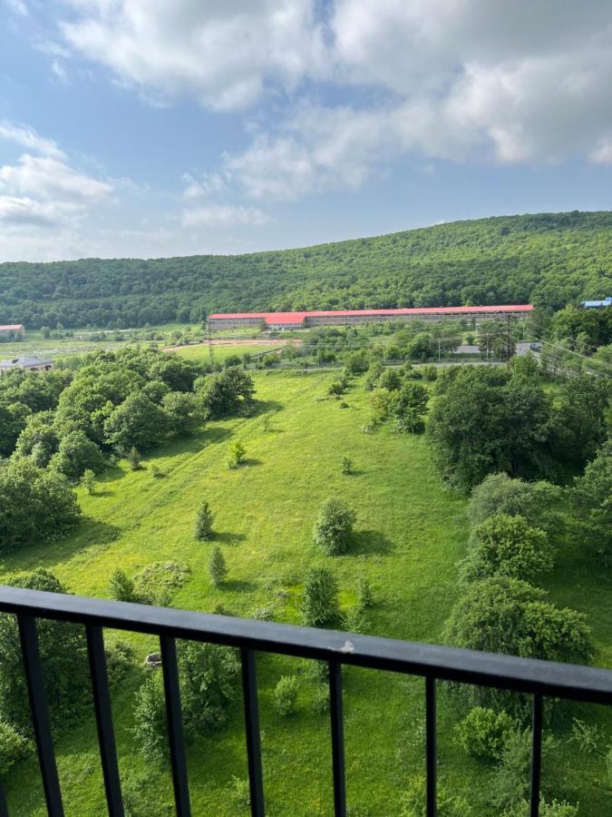 Цахкадзор, Tsaxkadzor, Kechi House Apartment 300 Eksteriør billede